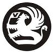 V神金融网